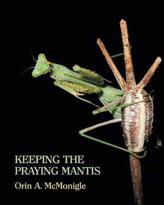 有关以下物品的详细资料: keeping the praying mantis: mantodean